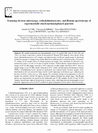 Scanning Electron Microscopy, Cathodoluminescence, and Raman Spectroscopy of Experimentally Shock-Metamorphosed Quartzite