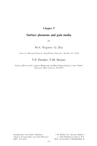 Surface Plasmons and Gain Media