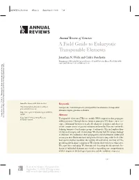 A Field Guide to Eukaryotic Transposable Elements