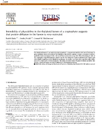 Immobility of Phycobilins in the Thylakoid Lumen of a Cryptophyte Suggests That Protein Diffusion in the Lumen Is Very Restricted
