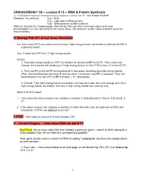 UN2005/UN2401 '20 -- Lecture # 13 -- RNA & Protein Synthesis 0. Energy Poll (#1 of Last Time) Revisited II . Central Dogma