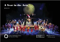 A Year in the Arts 2012/13