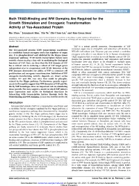 Both TEAD-Binding and WW Domains Are Required for the Growth Stimulation and Oncogenic Transformation Activity of Yes-Associated Protein