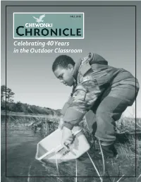 Chronicle Fall 2010