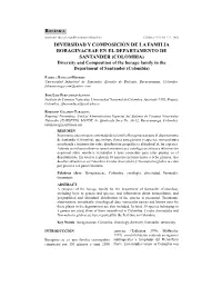Diversidad Y Composición De La Familia