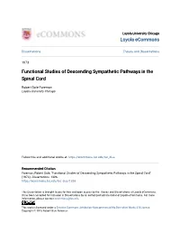 Functional Studies of Descending Sympathetic Pathways in the Spinal Cord