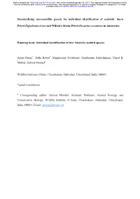 Standardizing Microsatellite Panels for Individual Identification of Seabirds' Snow Petrel Pagodroma Nivea and Wilson's Stor