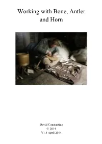 Working with Bone, Antler and Horn