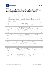 A Molecular Test for Quantifying Functional Notch Signaling Pathway Activity in Human Cancer