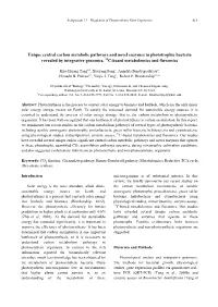 LTI Journal Camera Ready Format