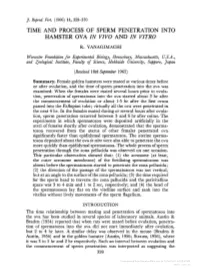 Time and Process of Sperm Penetration Into Hamster Ova in Vivo and in Vitro