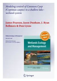 Modeling Control of Common Carp (Cyprinus Carpio) in a Shallow Lake– Wetland System