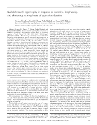 Skeletal Muscle Hypertrophy in Response to Isometric, Lengthening, and Shortening Training Bouts of Equivalent Duration