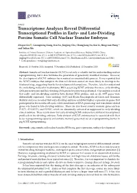 Transcriptome Analyses Reveal Differential Transcriptional Profiles