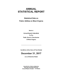 Annual Statistical Report for 2017