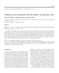 Challenges in the Development of the Wine Industry: an Exploratory Study