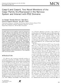 Caspr3 and Caspr4, Two Novel Members of the Caspr Family Are Expressed in the Nervous System and Interact with PDZ Domains