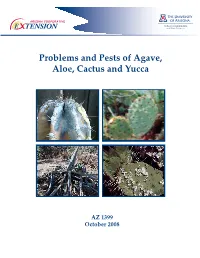Problems and Pests of Agave, Aloe, Cactus and Yucca