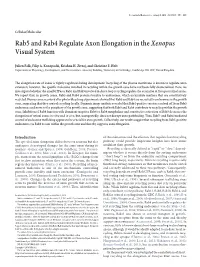 Rab5 and Rab4 Regulate Axon Elongation in Thexenopus Visual System