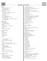 The Brain in Two Pages