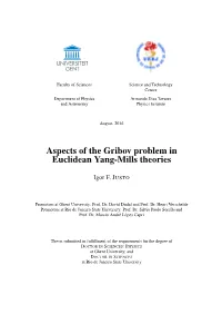 Thesis: Aspects of the Gribov Prolem in YM Theories