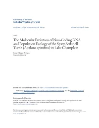 (Apalone Spinifera) in Lake Champlain Lucas Edward Bernacki University of Vermont