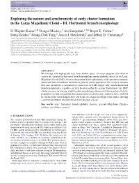 Exploring the Nature and Synchronicity of Early Cluster Formation in the Large Magellanic Cloud – III
