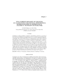 Total Evidence Phylogeny of Coelogyne and Allied Genera (Coelogyninae, Epidendroideae, Orchidaceae) Based on Morphological, Anatomical and Molecular Characters