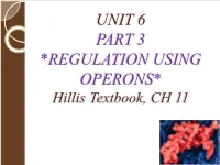 UNIT 6 from DNA to Protein: Gene Expression PART 2 Hillis Textbook