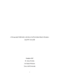 1 a Photographic Field Guide to the Bats of the West Indian Island Of