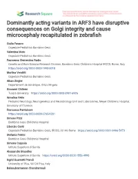 Dominantly Acting Variants in ARF3 Have Disruptive Consequences on Golgi Integrity and Cause Microcephaly Recapitulated in Zebra�Sh