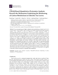 Itraq-Based Quantitative Proteomics Analysis Reveals the Mechanism Underlying the Weakening of Carbon Metabolism in Chlorotic Tea Leaves