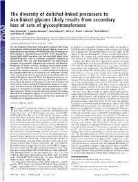 The Diversity of Dolichol-Linked Precursors to Asn-Linked Glycans Likely Results from Secondary Loss of Sets of Glycosyltransferases