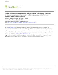 Trophic Relationships of Hake (Merluccius Capensis and M