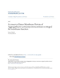 A Conserved Inner Membrane Protein of Aggregatibacter Actinomycetemcomitans Is Integral for Membrane Function Kenneth Smith University of Vermont