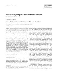 Annexins: Putative Linkers in Dynamic Membrane–Cytoskeleton