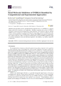 Small Molecule Inhibitors of DYRK1A Identified by Computational And