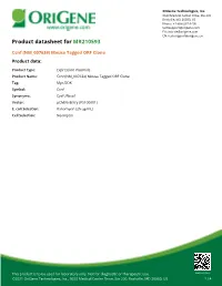 Ccnf (NM 007634) Mouse Tagged ORF Clone – MR210593 | Origene