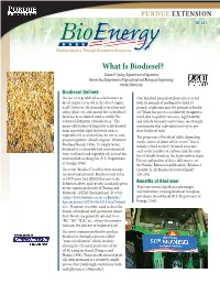 What Is Biodiesel? Shawn P