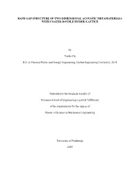 Band Gap Structure of Two Dimensional Acoustic Metamaterials with Coated Double Hybrid Lattice
