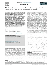Mindful Meta-Awareness: Sustained and Non-Propositional