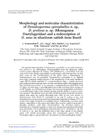 (Monogenea: Dactylogyridae) and a Redescription of D