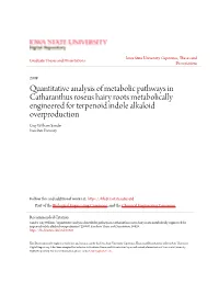 Quantitative Analysis of Metabolic Pathways in Catharanthus Roseus