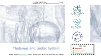 Thalamus and Limbic System Important Doctors Notes Notes/Extra Explanation Please View Our Editing File Before Studying This Lecture to Check for Any Changes