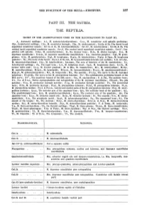 The Evolution of the Skull and the Cephalic Muscles: a Comparative