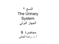 2 النسج the Urinary System الجهاز البولي محاضرة 9