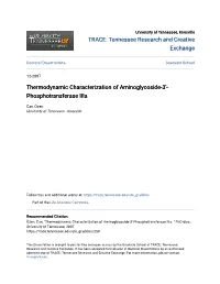 Thermodynamic Characterization of Aminoglycoside-3Â•²