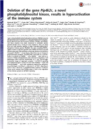 Deletion of the Gene Pip4k2c, a Novel Phosphatidylinositol Kinase, Results in Hyperactivation of the Immune System