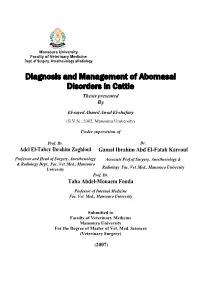Diagnosis and Management of Abomasal Disorders in Cattle
