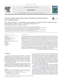 A Genetic Linkage Map of Kelp Grouper (Epinephelus Bruneus) Based On